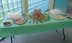 Exposition Sous Influences Du Rsa   019